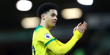 Norwich would consider £15m a ‘palatable amount’ for Jamal Lewis